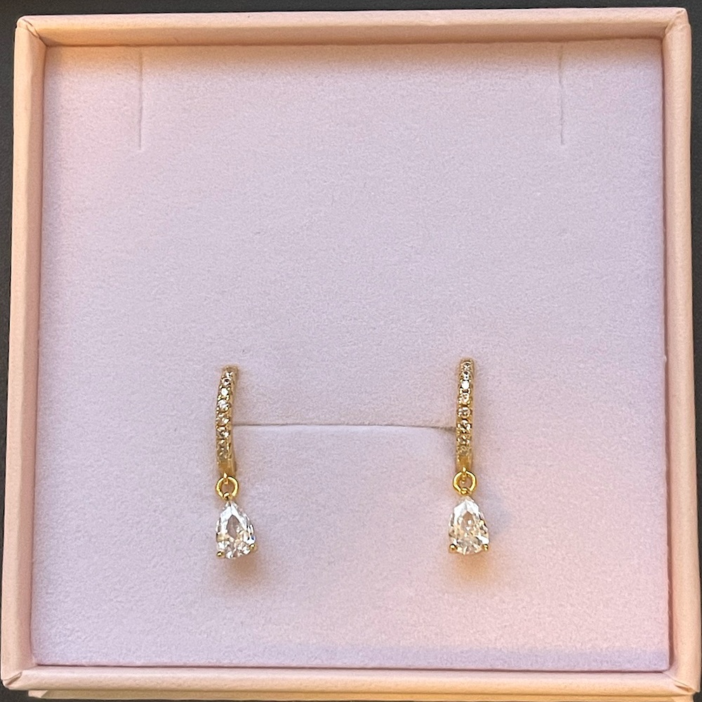 Teardrop Earrings